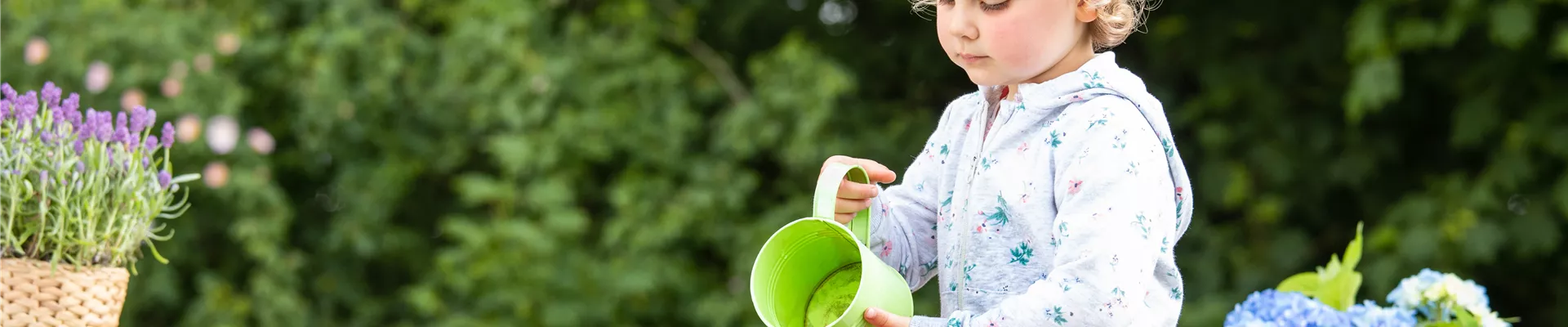 Muttertag - Kind giesst Hortensie