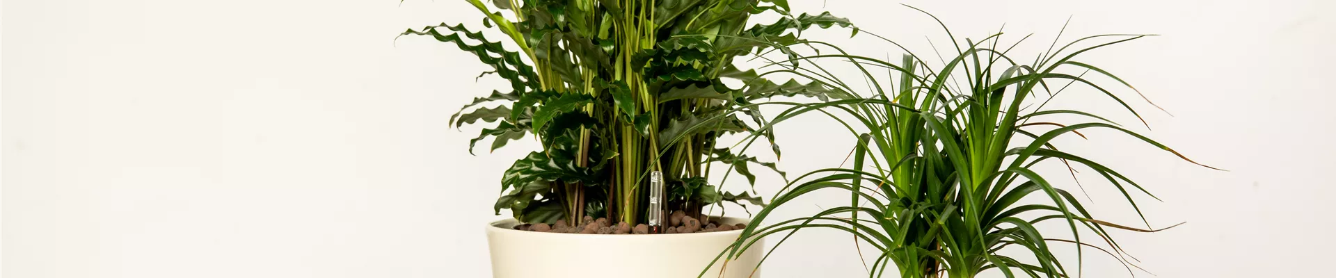 Hydrokultur - Kulturtöpfe