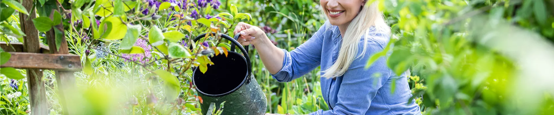 Blumen giessen im Garten