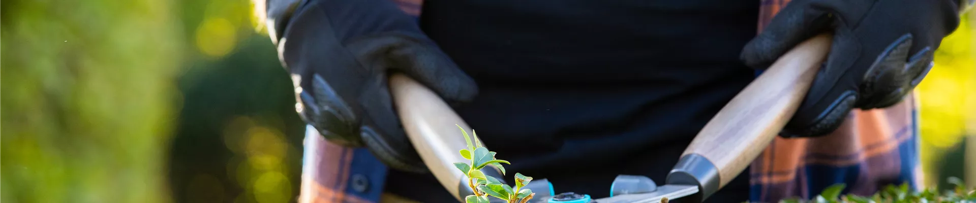 Gartengeräte - Mann mit Heckenschere