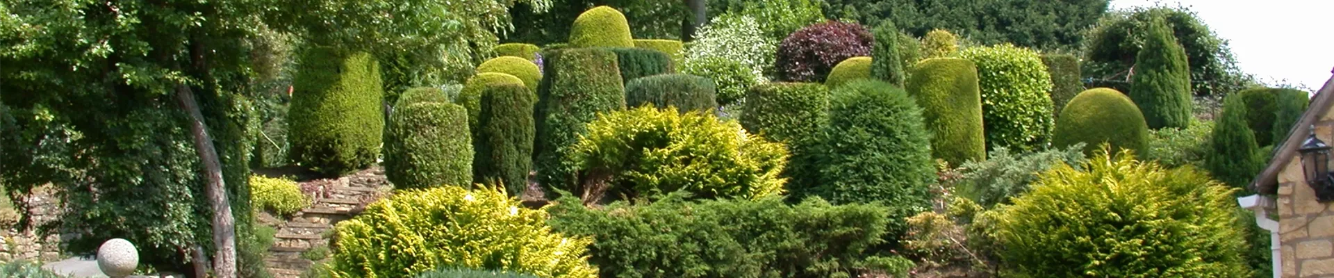 Terrassengarten mit Koniferen