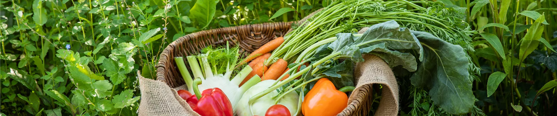 Gemüse im Korb