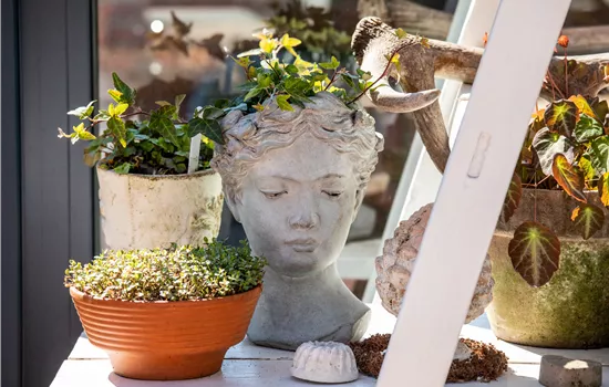 Einen Topfgarten anlegen - Viel Pflanzen und wenig Platz