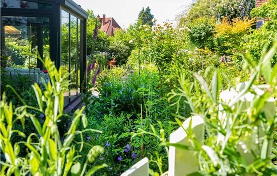 Gartenarbeit im August: Tipps und Tricks für einen bunten Sommer