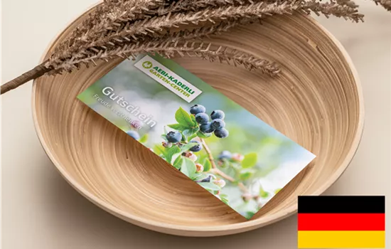 Online Gutschein Deutsch