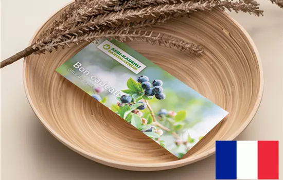 Bons d'achat français