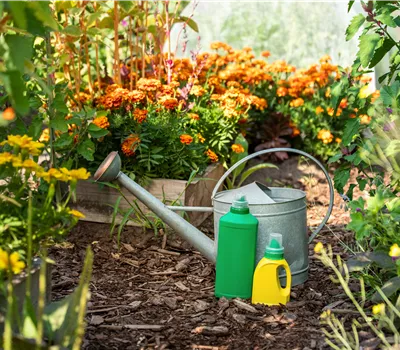 De belles plantes saines, grâce à une fertilisation appropriée 