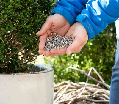 Une croissance saine grâce aux bactéries du sol et aux engrais